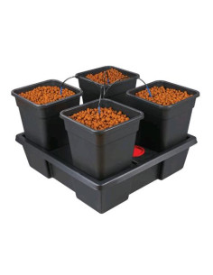 Nutriculture Wilma Origin Large 4 - Sistema Versatile