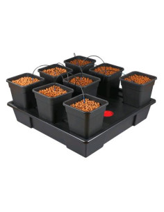 NUTRICULTURE WILMA ORIGIN XXL 8 - Sistema di Coltivazione