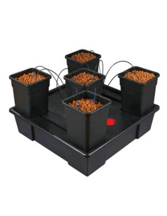 WILMA GROWSYSTEM 5 XXL - Sistema Idroponico