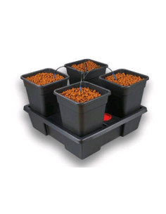 WILMA GROWSYSTEM 4 XL - Sistema Idroponico