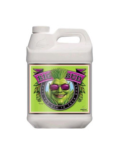 Advanced Nutrients - Big Bud 500ml