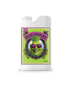 Big Bud - Fioritura Perfetta 1L