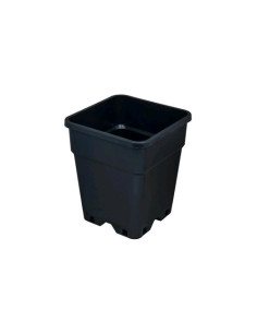 SENKAP Vaso Quadrato 25L - Robusto e Versatile