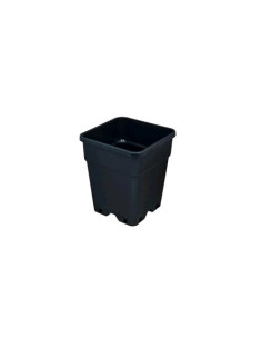 SENKAP Vaso Quadrato 2L - Ottimizza il tuo Spazio