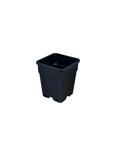 SENKAP Vaso Quadrato 2L - Ottimizza il tuo Spazio