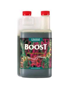 CANNA BOOST ACCELERATOR - 1L