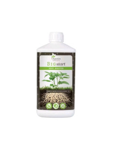 Organics Nutrients - Big Start 1L