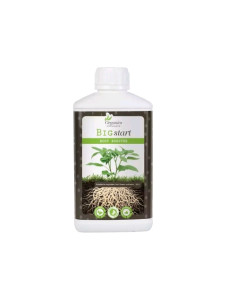 ORGANICS NUTRIENTS - BIG START 500ML