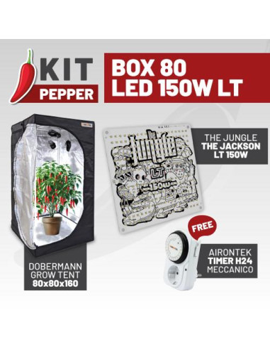 KIT PEPPER - BOX 80 - LED LT 150