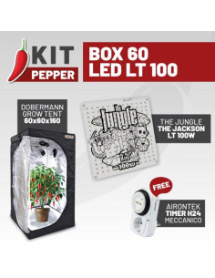 Kit Pepper Box 60 LED LT 100