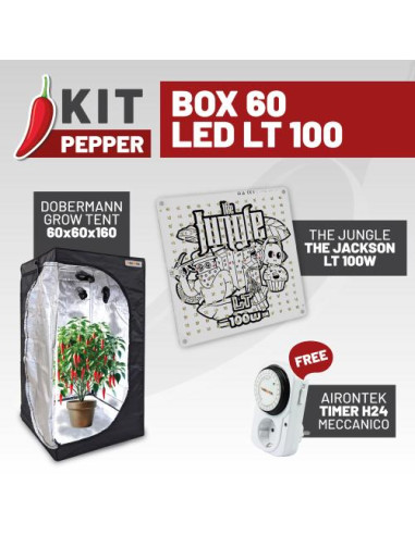 Kit Pepper Box 60 LED LT 100