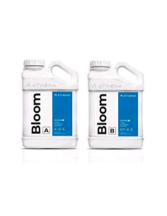 Athena Bloom A+B - Nutrienti Fioritura 5 Gallon