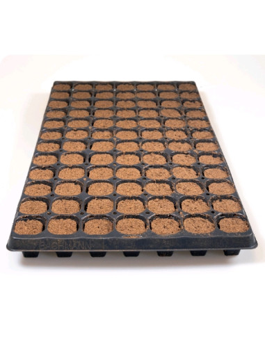 PLAGRON Growplug Vassoio 84 Plug Sigillato