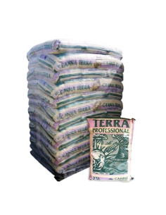 Bancale Canna Terra Professional 25L - 100 Sacchi