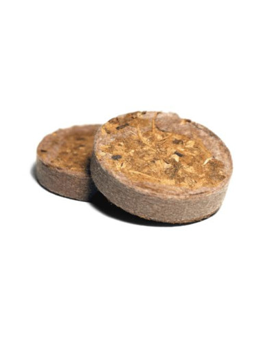 UGRO Dischetto Cocco Rhiza 3.0 mm - Box 1000 pz