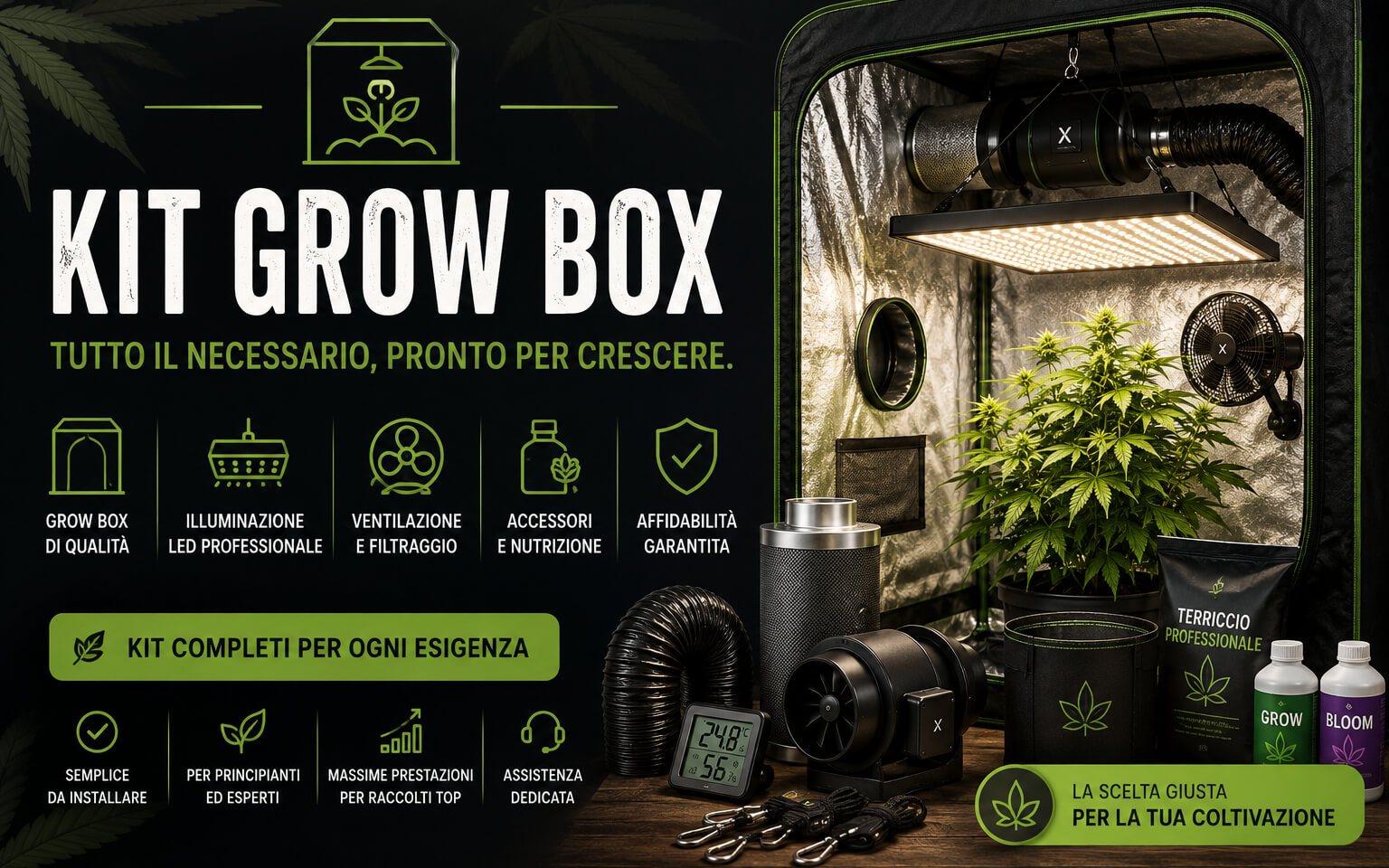 Kit Grow Box